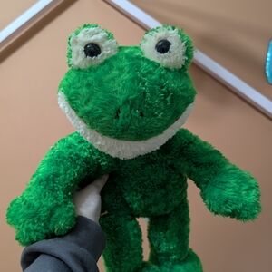 Green Plush Frog Toy